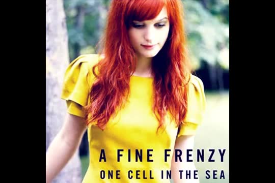 A Fine Frenzy - Liar, Liar