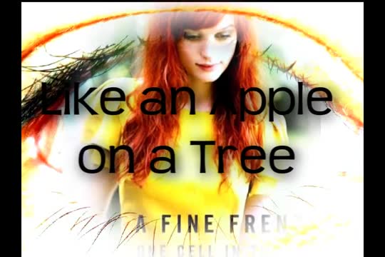 A Fine Frenzy - You Picked Me