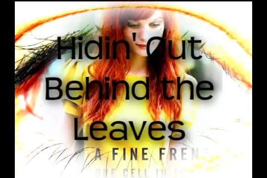 A Fine Frenzy - You Picked Me