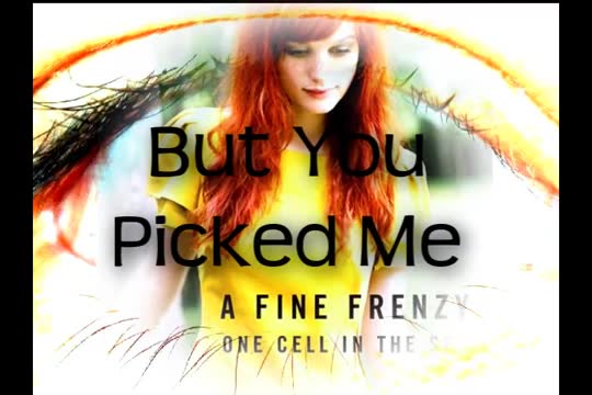 A Fine Frenzy - You Picked Me