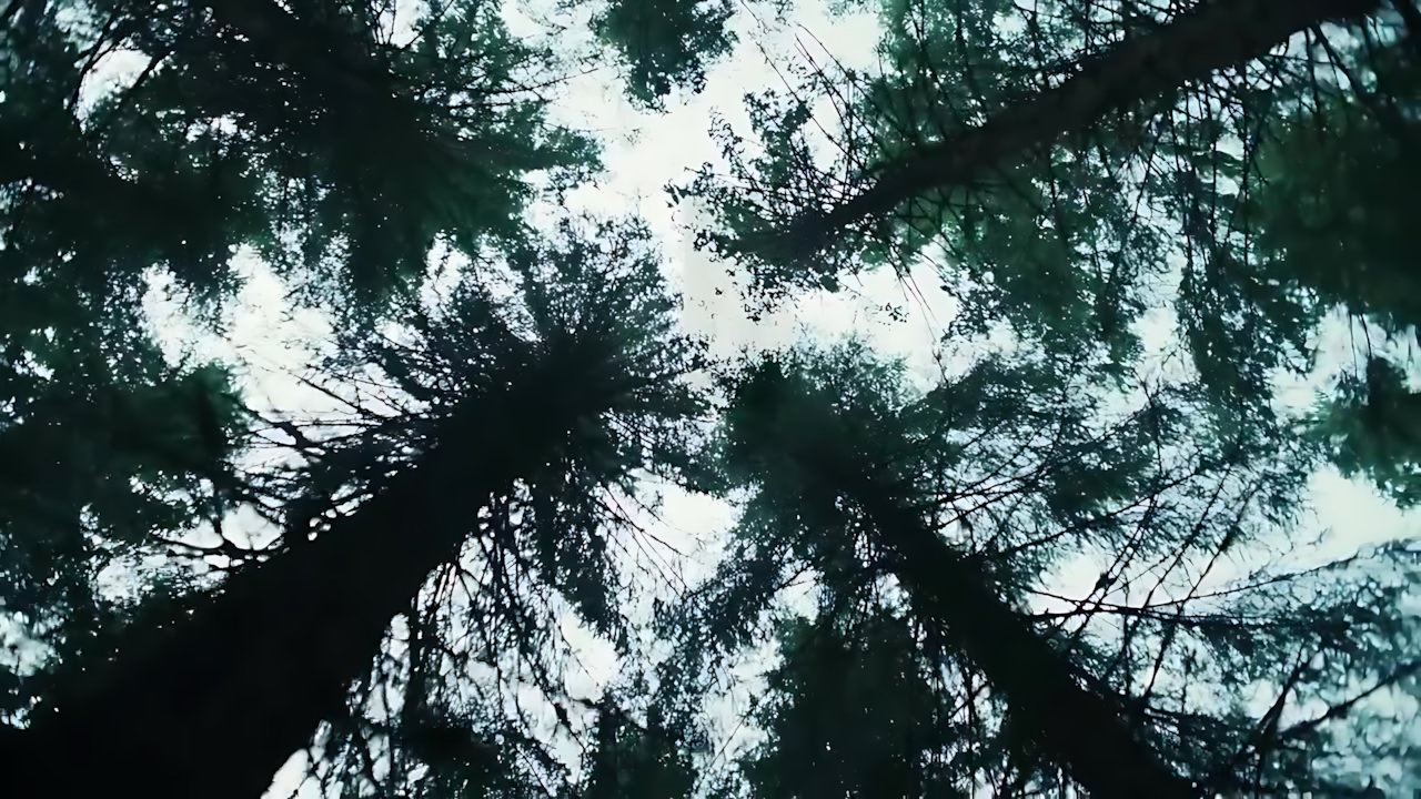 Alex Warren - Eternity
