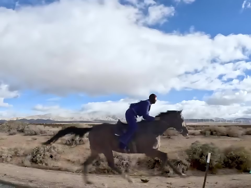 Bad Bunny - NADIE SABE
