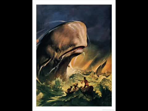 Banco del Mutuo Soccorso - Moby Dick