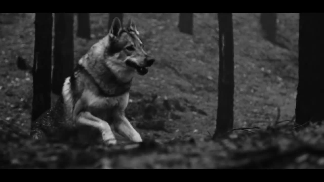 Behemoth - Blow Your Trumpets Gabriel