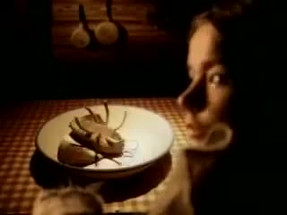 Björk - Human Behaviour