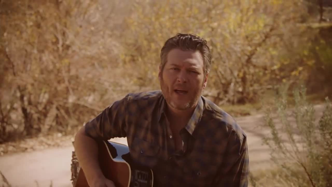 Blake Shelton - I Lived It