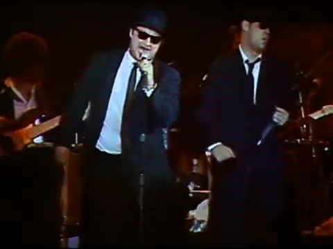 Blues Brothers - Flip Flop & Fly