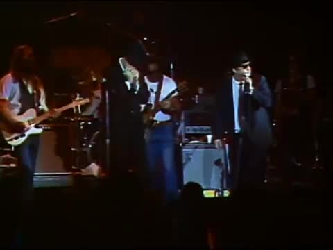 Blues Brothers - Flip Flop & Fly
