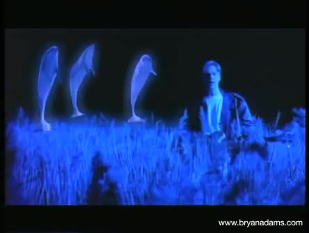 Bryan Adams - Thought I'd Died and Gone to Heaven