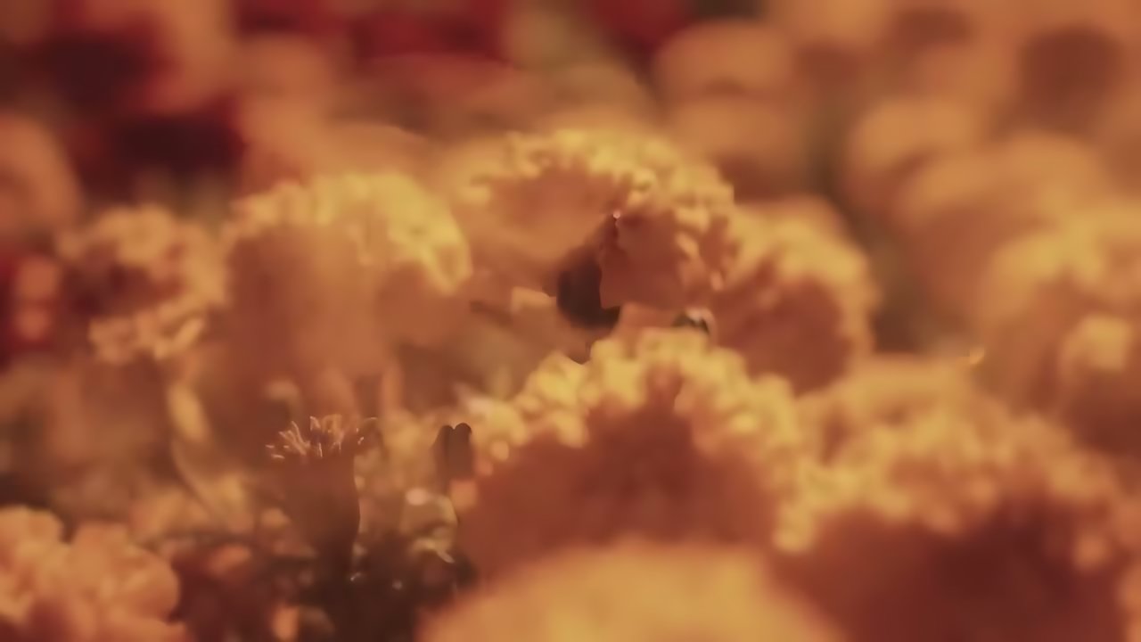 Carlos Rivera - No Es Para Menos