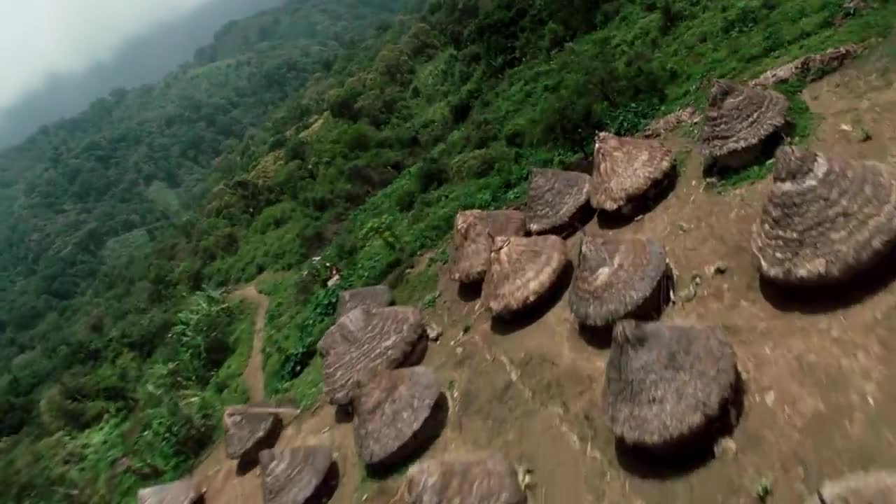 Carlos Vives - La tierra del olvido