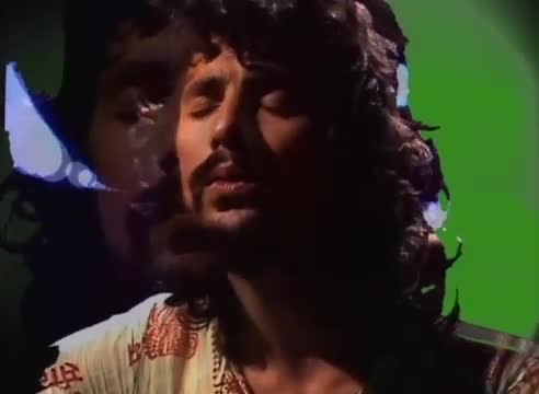 Cat Stevens - Hard Headed Woman