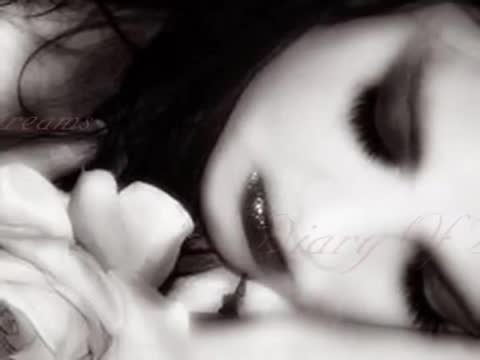Diary of Dreams - She and Her Darkness