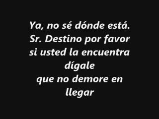 Don Omar - Sr. Destino