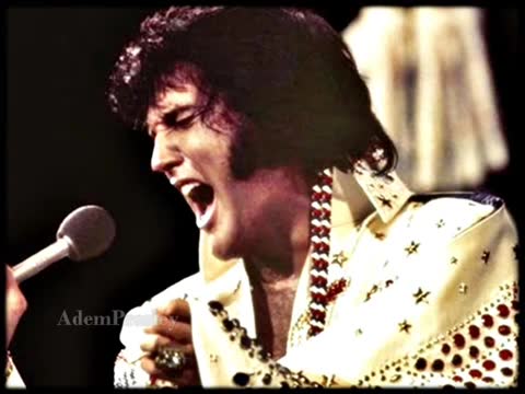 Elvis Presley - I'll Never Fall In Love Again