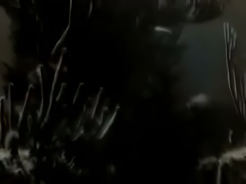 Enigma - Out From the Deep