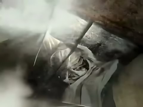 Enigma - Out From the Deep