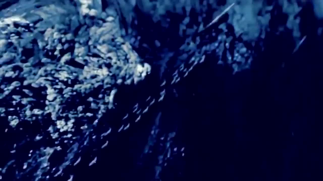 Enigma - Silence Must Be Heard