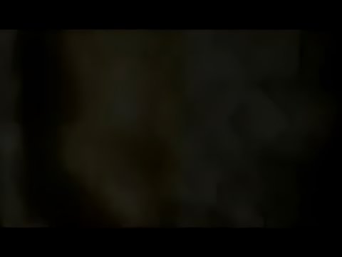 Enigma - The Language of Sound