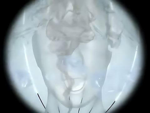 Enigma - Turn Around