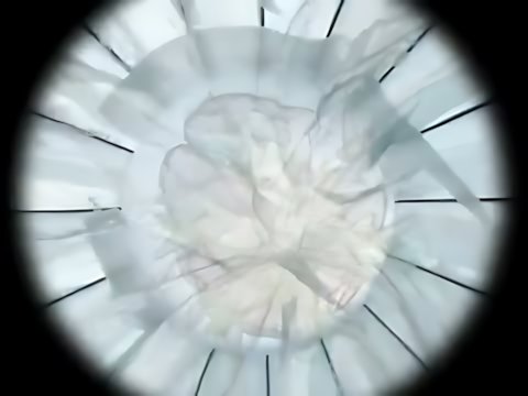 Enigma - Turn Around