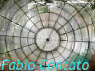 Fabio Concato - Domenica bestiale