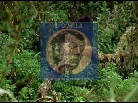 Fabrizio De André - Il gorilla