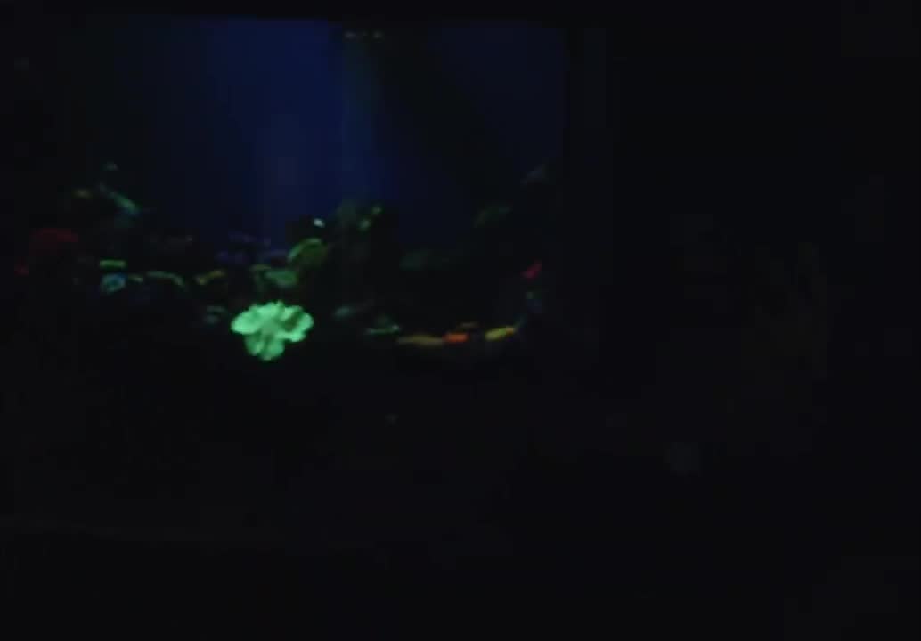 FINNEAS - Only a Lifetime