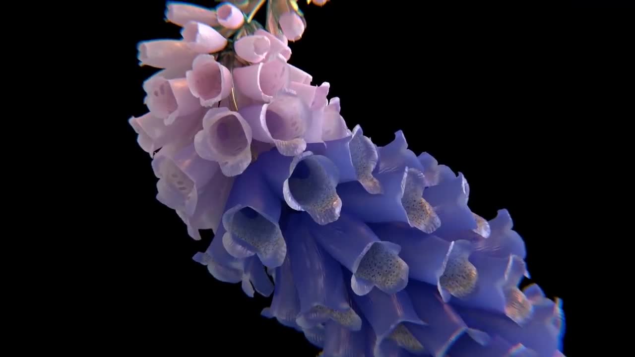 Flume - Innocence