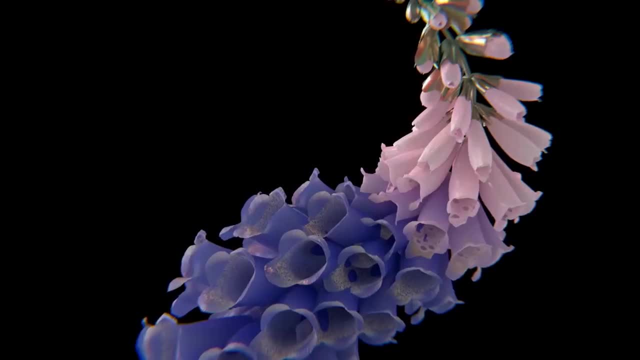 Flume - Take a Chance