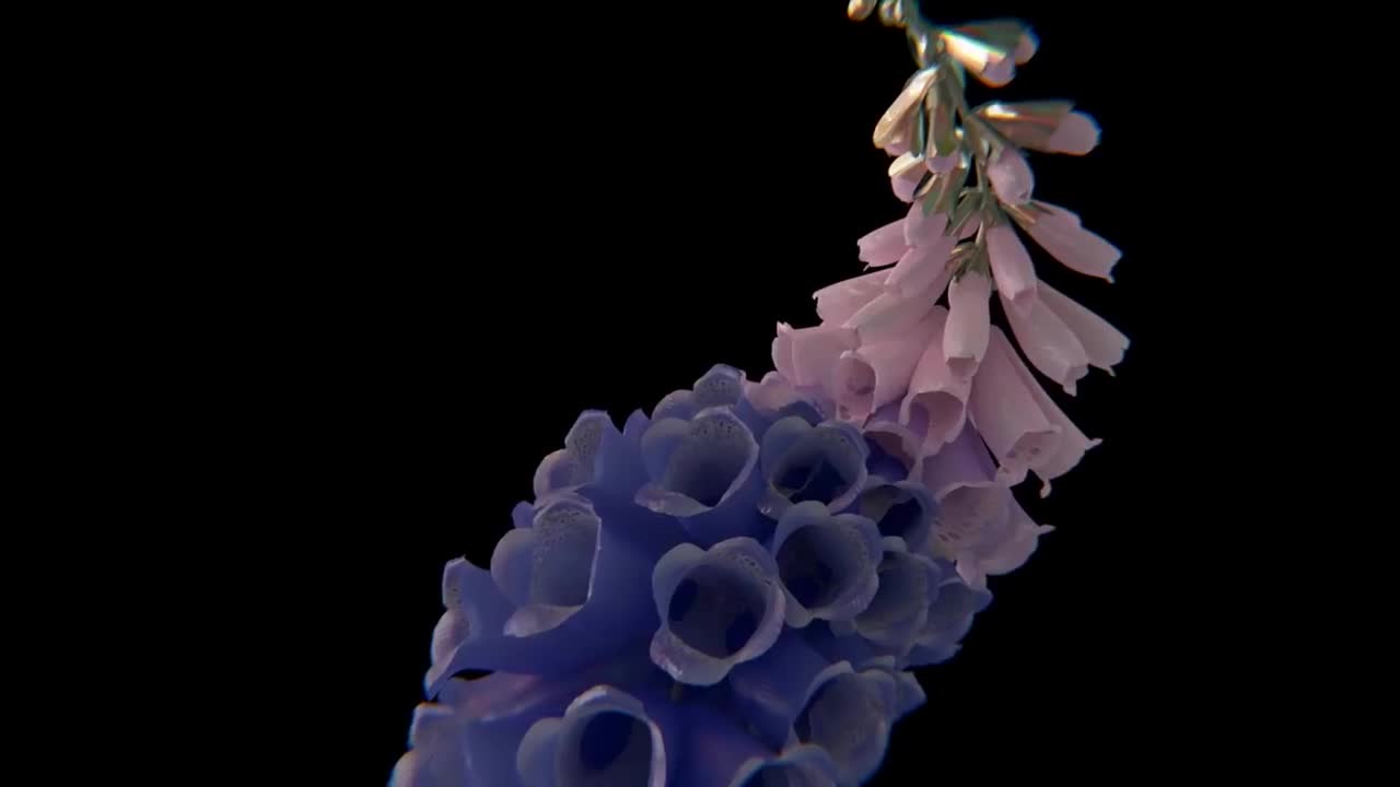 Flume - Take a Chance