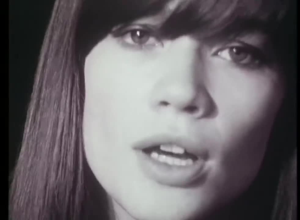 Françoise Hardy - Mon amie la rose