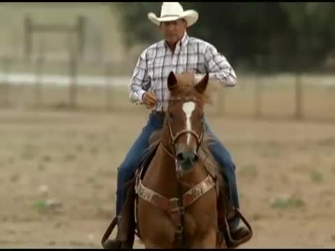 George Strait - Troubadour