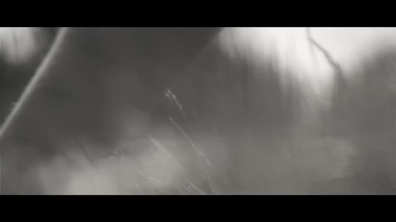 Goldfrapp - Annabel