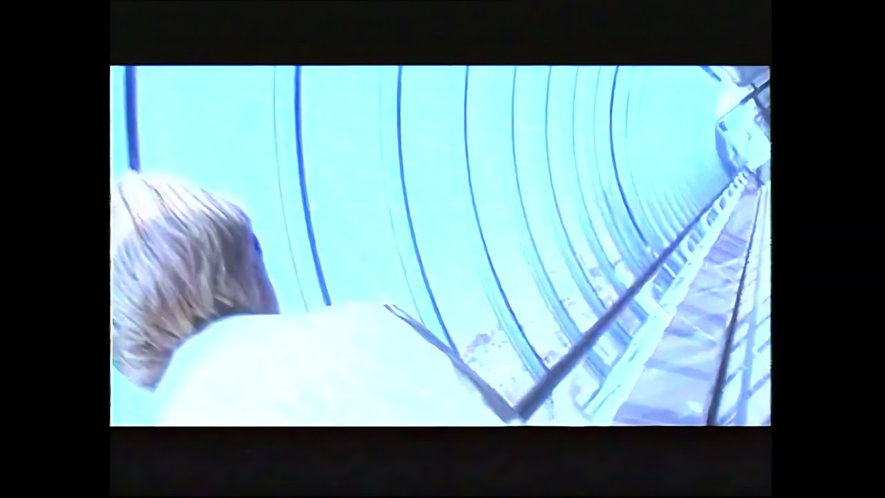 Гости из будущего - Нелюбовь