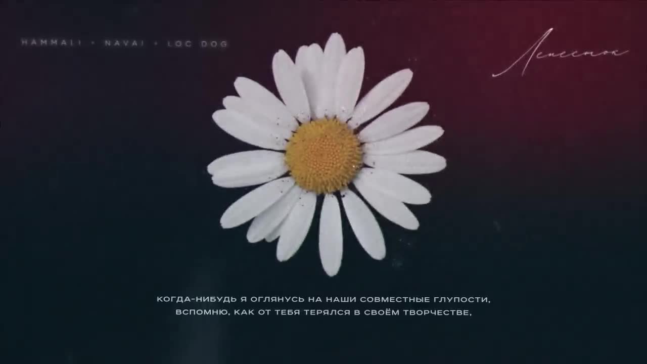 HammAli & Navai, Loc-Dog - Лепесток