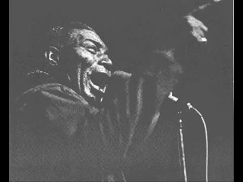 Howlin’ Wolf - Back Door Man