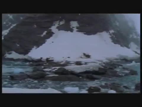 Immortal - Antarctica