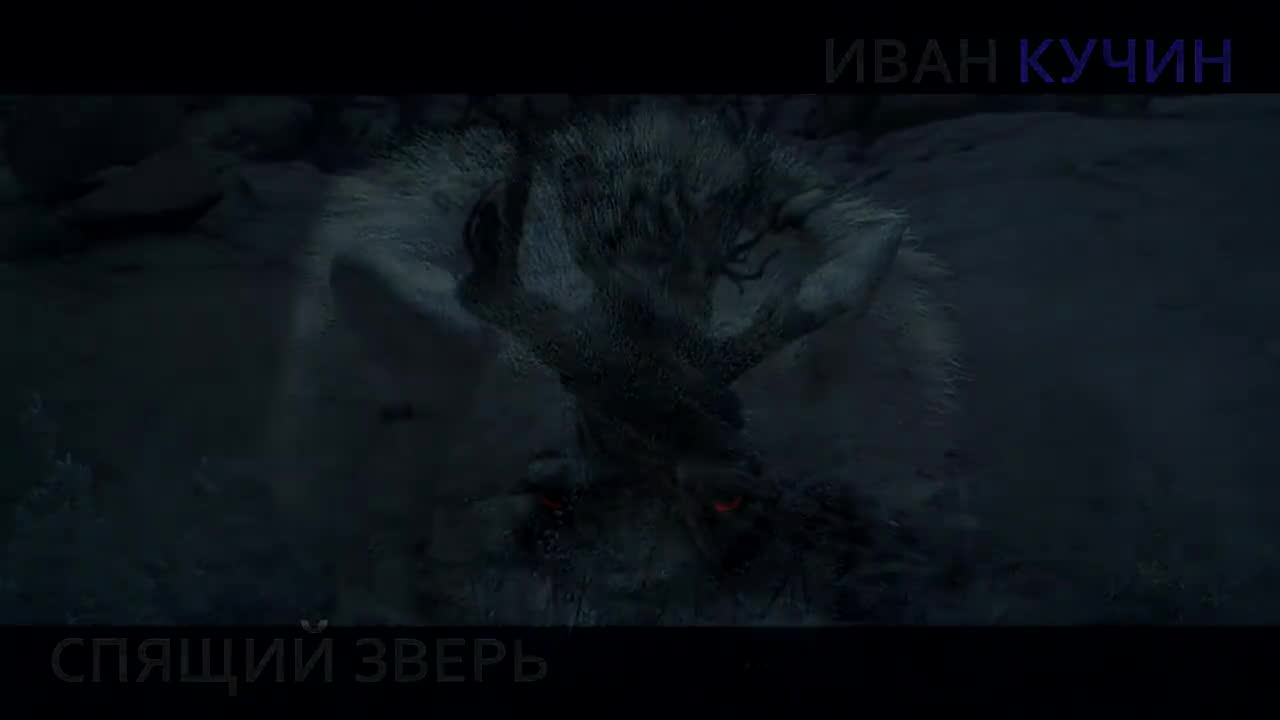 Иван Кучин - Спящий зверь