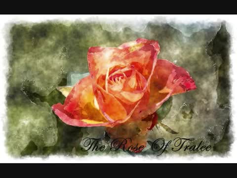 John McDermott - The Rose of Tralee