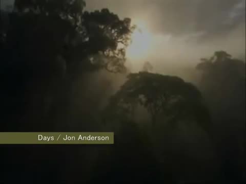 Jon Anderson - Days