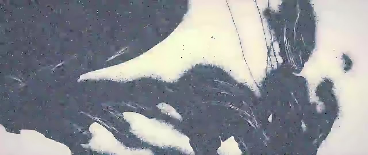 Kamiyada+ - Facetat
