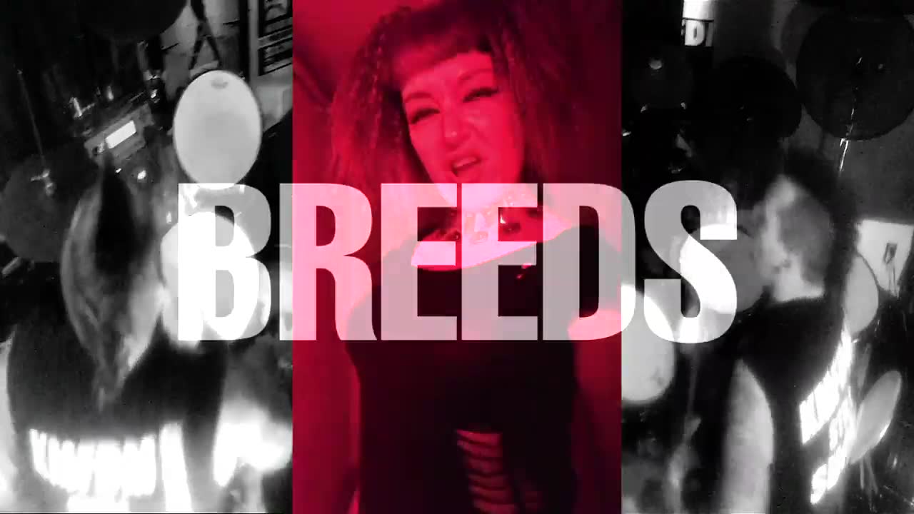 KMFDM - Paradise