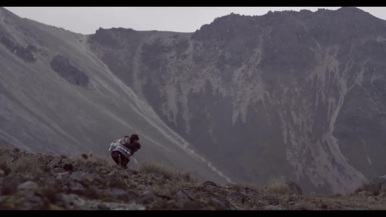 León Larregui - Brillas