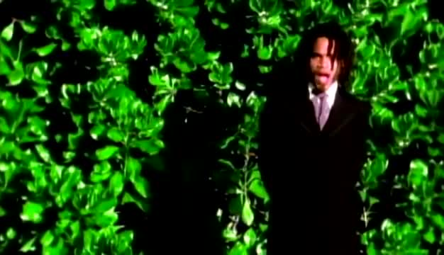 Lenny Kravitz - I Build This Garden for Us