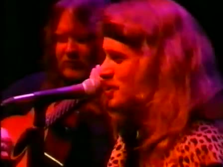 Lynyrd Skynyrd - Down South Jukin' (acoustic)