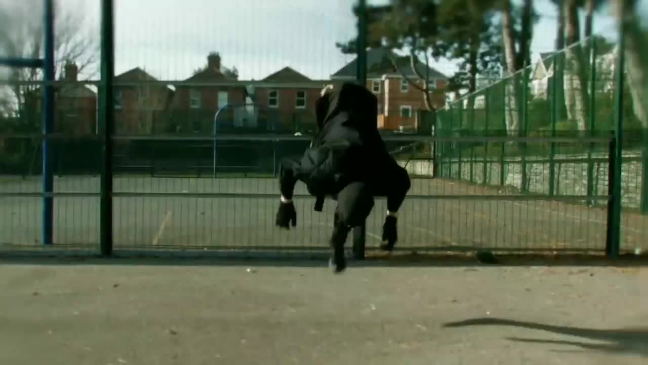 Matthew Ebel - Everybody Needs a Ninja
