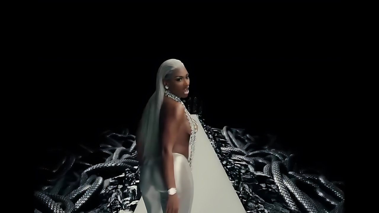 Megan Thee Stallion - HISS