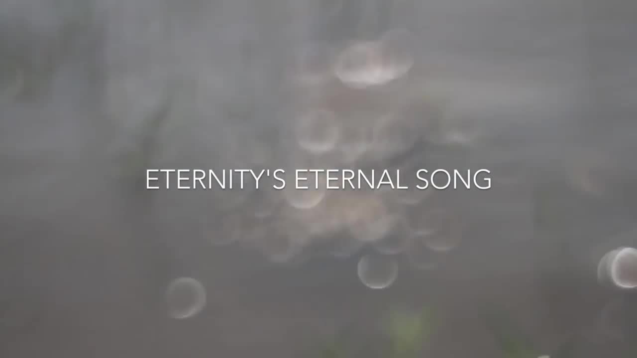 Misty Edwards - Eternity