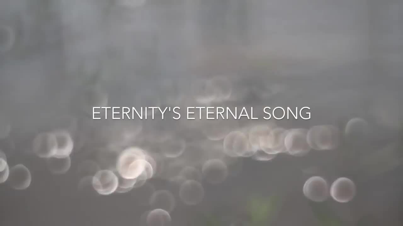 Misty Edwards - Eternity